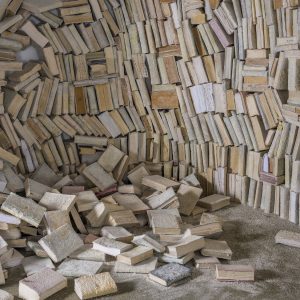 “An Introduction to the Aleph’s Library” installation at TMOCA, 1000 cured books