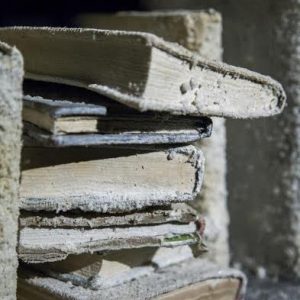 Mahsa Aleph, “Aleph’s library” (Detail), installation at Pasio, 1000 cured books, iron, wood, overall size: 250 x 250 x 900 cm, 2017